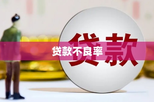富川贷款不良率
