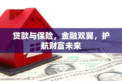 富川贷款与保险，金融双翼，护航财富未来