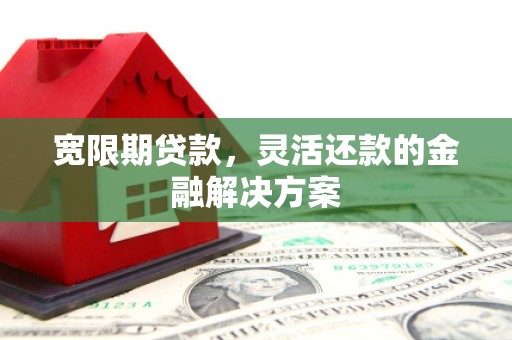 富川宽限期贷款，灵活还款的金融解决方案