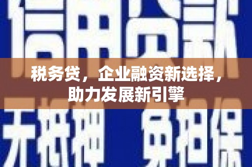 富川税务贷，企业融资新选择，助力发展新引擎
