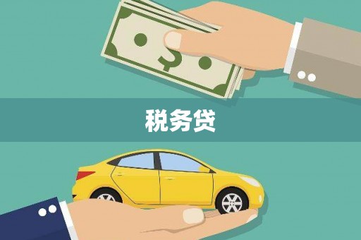 富川税务贷