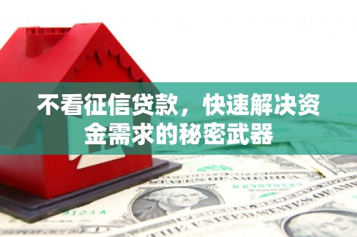 富川不看征信贷款，快速解决资金需求的秘密武器