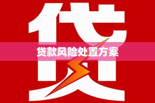 富川贷款风险处置方案