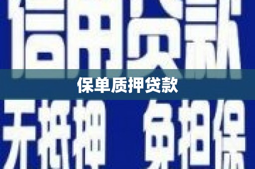 富川保单质押贷款