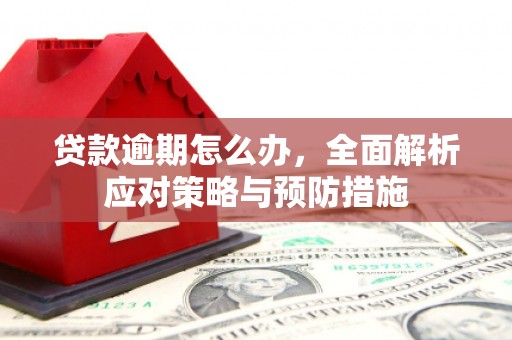 富川贷款逾期怎么办，全面解析应对策略与预防措施