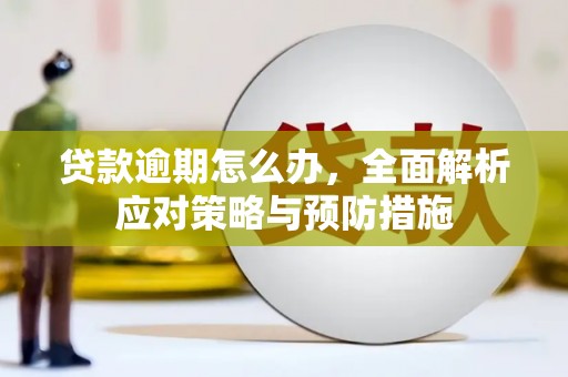 富川贷款逾期怎么办，全面解析应对策略与预防措施