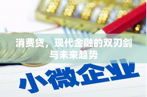富川消费贷，现代金融的双刃剑与未来趋势
