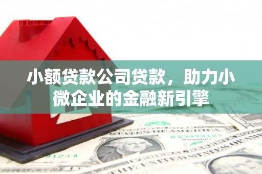 富川小额贷款公司贷款，助力小微企业的金融新引擎