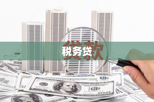 富川税务贷