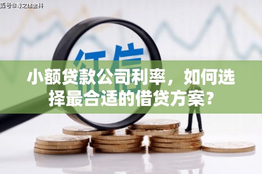 富川小额贷款公司利率，如何选择最合适的借贷方案？