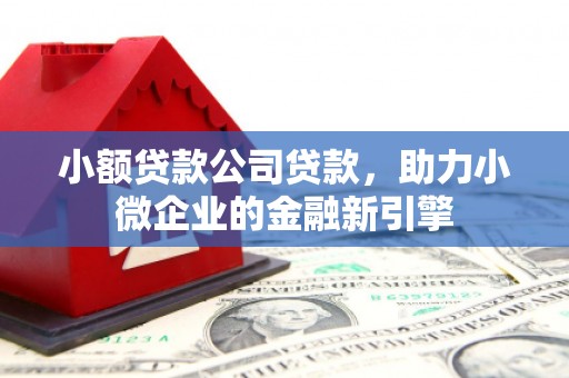 富川小额贷款公司贷款，助力小微企业的金融新引擎