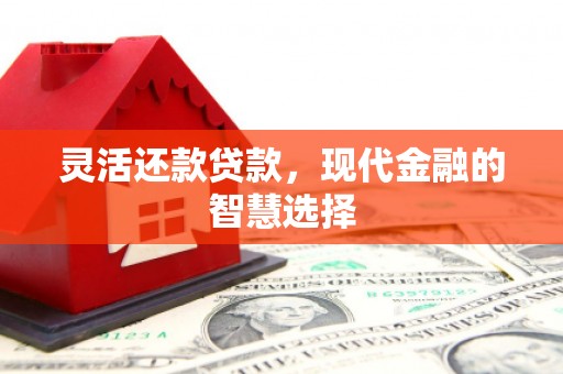 富川灵活还款贷款，现代金融的智慧选择