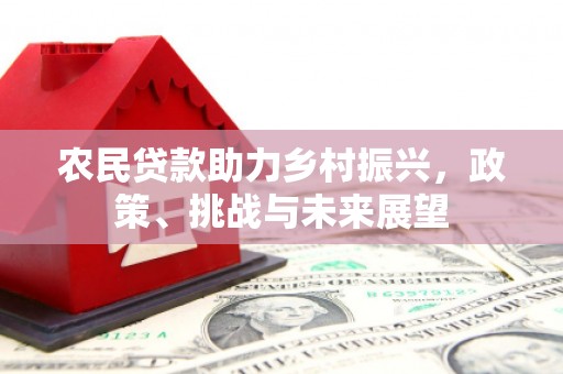 富川农民贷款助力乡村振兴，政策、挑战与未来展望
