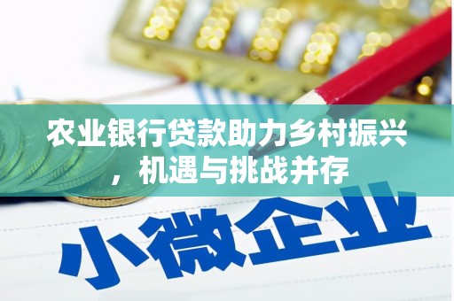 富川农业银行贷款助力乡村振兴，机遇与挑战并存