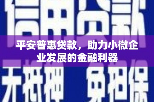 富川平安普惠贷款，助力小微企业发展的金融利器
