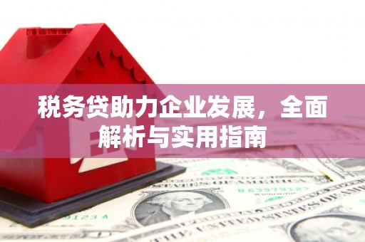 富川税务贷助力企业发展，全面解析与实用指南