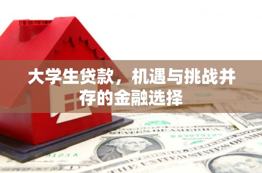 富川大学生贷款，机遇与挑战并存的金融选择