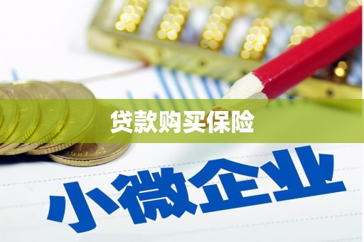富川贷款购买保险