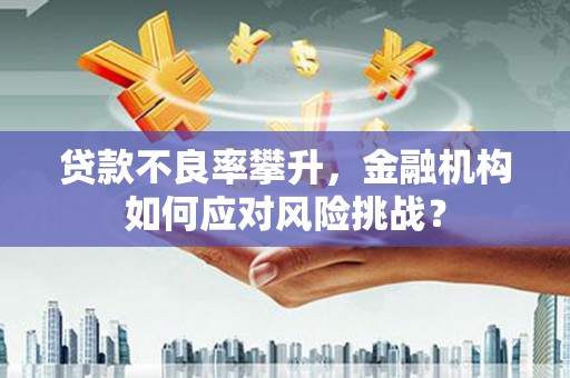富川贷款不良率攀升，金融机构如何应对风险挑战？