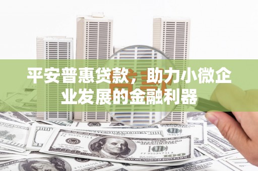富川平安普惠贷款，助力小微企业发展的金融利器