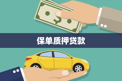 富川保单质押贷款