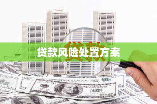 富川贷款风险处置方案