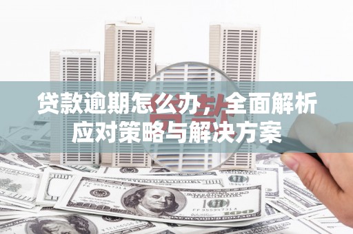 富川贷款逾期怎么办，全面解析应对策略与解决方案
